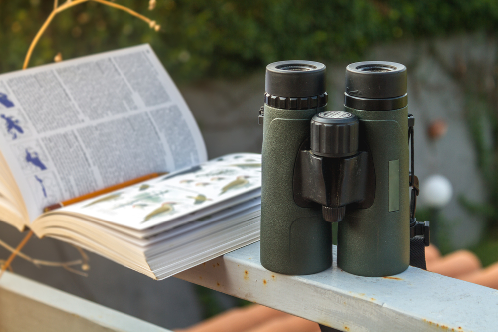 Enthusiastic birdwatcher in natural habitat using binoculars and bird identification guide - birding activity concept