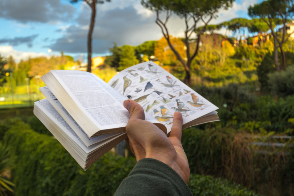 Nature enthusiast hand-holding a bird guide book - bird species identification reference